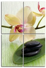 Obraz na plátne - Kvety orchidei - obdĺžnik 762D (120x80 cm)