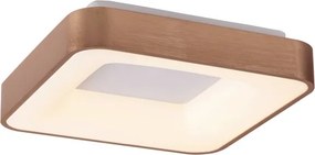 Rabalux 5056 - LED Stropné svietidlo CARMELA LED/30W/230V