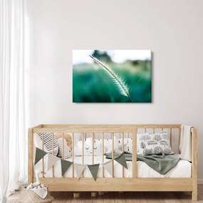 Obraz steblá trávy (90x60 cm)