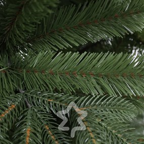 Jedľa Prírodná 210 cm