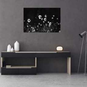Obraz - Lúka s cottongrass N⁰1 (90x60 cm)
