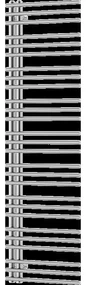 Mexen Neptun kúpeľňový radiátor 1600 x 500 mm, 523 W, chróm - W101-1600-500-00-01