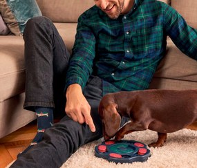 Inteligenčná hračka pre psov