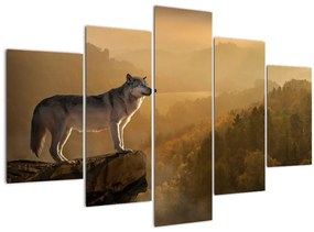 Obraz vlka na skale (150x105 cm)