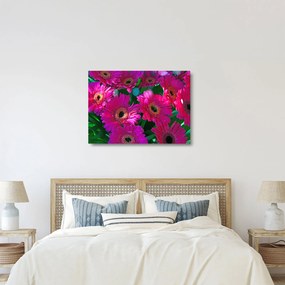 Sklenený obraz - kvety (70x50 cm)