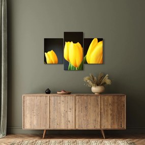 Obraz tulipánov (90x60 cm)