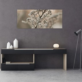 Obraz - Rastlina v mraze (120x50 cm)