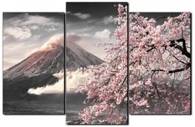 Obraz na plátne - Hora Fuji a čerešňové kvety na jar 1266QC (120x80 cm)