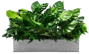 Flowerpot insert Las Palmas