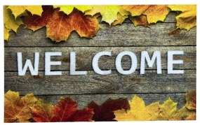 Rohožka 50x80 welcome 12 04060022