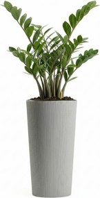 Kvetináč URBANIKA ECO Wood 36,4x19,6 cm sivý