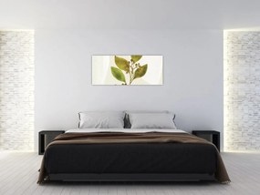 Obraz - Akvarelová vetvička N⁰1 (120x50 cm)