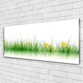 Obraz plexi Príroda tráva kvety 125x50 cm
