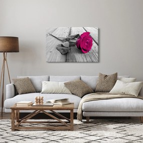 Obraz - Ružová ruža (90x60 cm)