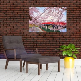 Obraz - Hirosaki, Japonsko (90x60 cm)