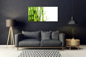 Obraz na skle Bambus rastlina 120x60 cm