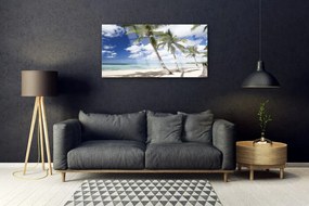 Obraz na akrylátovom skle More pláž palma krajina 100x50 cm