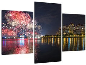 Obraz ohňostroja v Singapure (90x60 cm)