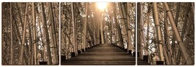 Obraz na plátne - Drevená promenáda v bambusovom lese - panoráma 5172FC (90x30 cm)