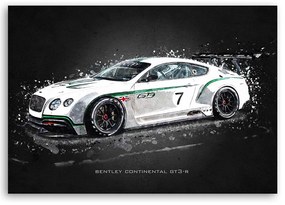 Gario Obraz na plátne Bentley continental gt3r - Gab Fernando Rozmery: 90 x 60 cm