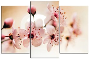 Obraz na plátne - Malé kvety na vetve 1173C (135x90 cm)
