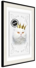 Artgeist Plagát - The King Cat [Poster] Veľkosť: 20x30, Verzia: Čierny rám s passe-partout