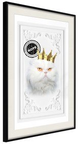 Artgeist Plagát - The King Cat [Poster] Veľkosť: 40x60, Verzia: Čierny rám s passe-partout