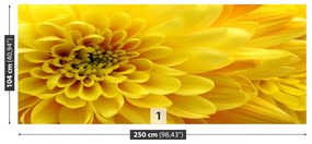 Fototapeta Vliesová Žltý kvet 152x104 cm