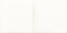 Obklad Rako Retro biela 20x40 cm lesk WARMB521.1