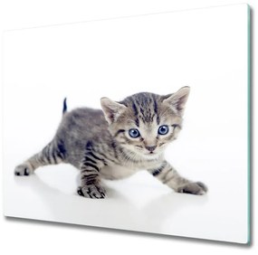 Sklenená doska na krájanie Malá mačka 60x52 cm