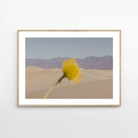 The Poster Club Plagát Desert Mirage by Nicole Mason 40x50 cm