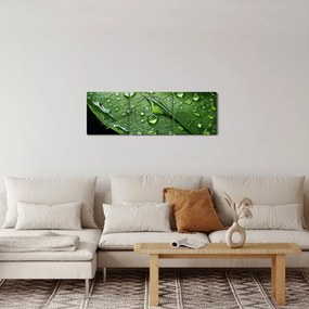 Obraz - List po daždi (s hodinami) (90x30 cm)