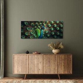 Obraz – Páv (120x50 cm)