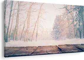 Obraz - Výhľad do lesa (90x60 cm)