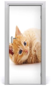Samolepiace fototapety na dvere Malá červená mačka 75x205 cm