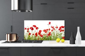Sklenený obklad Do kuchyne Lúka maky kvety príroda 140x70 cm