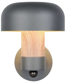 Nástenné vonkajšie svietidlo (výška 24,5 cm) Fraser – Trio