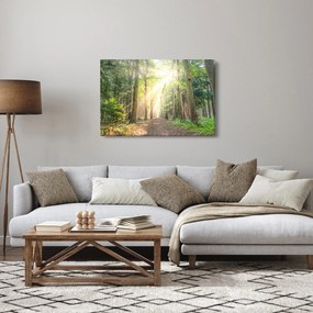 Obraz cestičky v lese (90x60 cm)