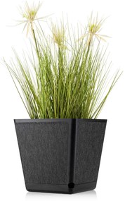 PLASTOVÝ KVETINÁČ PILEA TX 24X24 CM ČIERNA