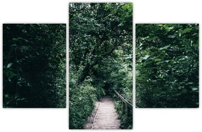 Obraz - Cesta lesom (90x60 cm)