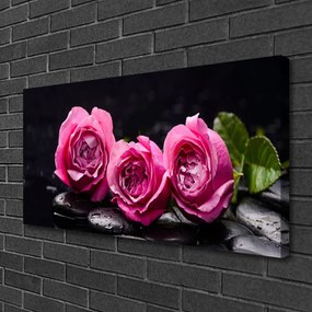 Obraz Canvas Ruže kamene zen kúpele príroda 125x50 cm