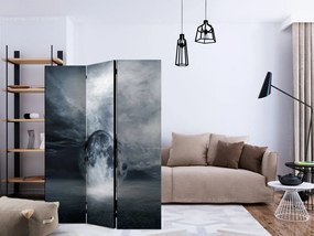 Artgeist Paraván - The lost planet [Room Dividers]