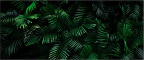 Obraz - Tropické papradie (120x50 cm)