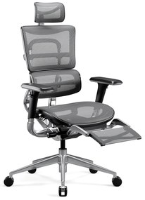 Kancelárska ergonomická stolička Diablo V-Master, čierno-šedá
