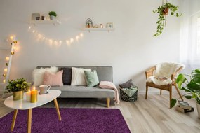 Ayyildiz, Kusový koberec Life Shaggy 1500 lila, 140x200, fialová, obývacia izba