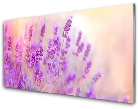 Sklenený obklad Do kuchyne Levanduľovej pole slnko kvety 100x50 cm