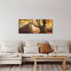 Obraz - Jesenný svit (120x50 cm)