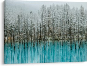 Obraz - Tyrkysový rybník, Biei, Japonsko (70x50 cm)