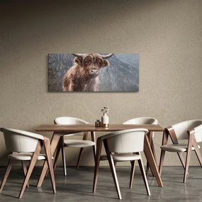 Obraz - Highlander krava (120x50 cm)