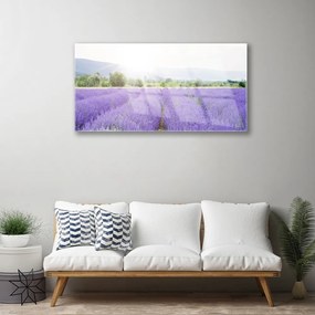 Skleneny obraz Pole levanduľa príroda lúka 125x50 cm